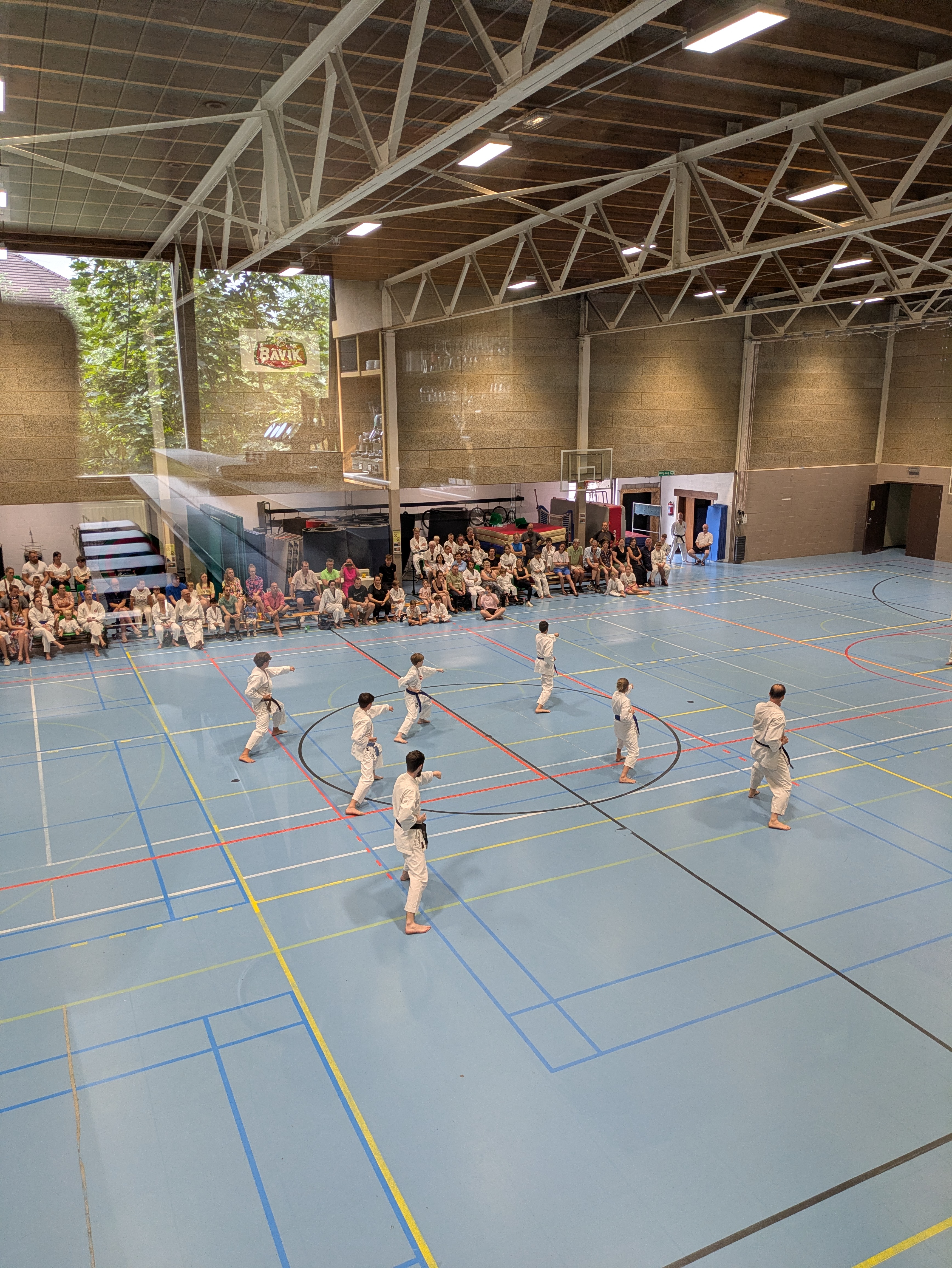 Demonstratie van de bunkai van Sochin op de sportvloer